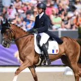Cavalier en tenue de concours complet d'équitation, sur son cheval bai, en pleine action devant un public.