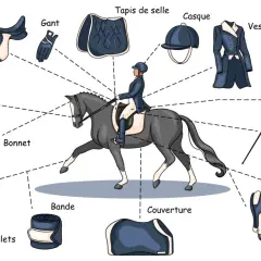 Illustration d'une personne prête à faire de l'équitation, avec tous les équipements nécessaires : selle, filet, bonnet, gant, tapis, casque, veste, pantalon, cravache, botte, chaps, protège boulets et bande.