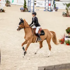 Une cavalière en tenue d'équitation exécute un volte cheval sur une piste de sable, entourée de décorations florales.