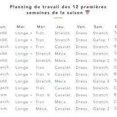 Planning de travail cheval pour 12 semaines, incluant paddock, longe, trot, étirements, travail à la cavalerie, mécanique, dressage et galop.
