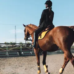 Cavalière en tenue d'équitation, le cheval au trot, une épaule en avant, sur un manège sablonneux.