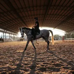 Cavalier sur un cheval gris dans une carrière couverte. Le soleil couchant crée de longues ombres. Idéal pour un cour d'équitation pour débutant, prix abordable.