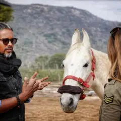 Un homme parle à un magnifique cheval marwari blanc, une femme se tient à côté.