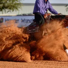 Un cheval de reining exécute un arrêt spectaculaire, soulevant un nuage de terre rouge.