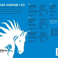Aliment minéral pour chevaux, riche en calcium et phosphore, avec vitamine D3. Aide à la santé osseuse des équidés.