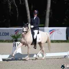 Une cavalière en tenue de concours exécute une figure de dressage, respectant le règlement du club. Le cheval blanc est élégant.