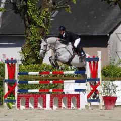 Un cheval gris et son cavalier en plein effort, capturant le **mécanisme du saut** au-dessus d'une barrière aux couleurs vives.