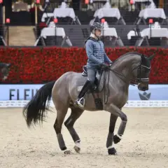 Un cavalier et son cheval gris évoluent sur le sable, le cheval semble vouloir monter en bride, prêt pour la compétition.