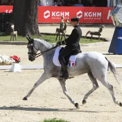 Cavalier en uniforme noir et chapeau, sur un cheval gris effectuant une serpentine 4 boucles. Le drapeau français est visible sur la selle.