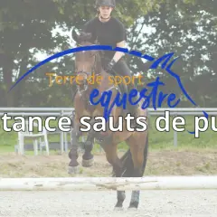 Cavalier et cheval en plein saut, le texte "Distance sauts de puce" est superposé.