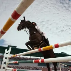 Un cheval brun saute par-dessus une barrière dans une carrière de saut d'obstacle, sous un ciel nuageux.