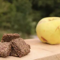 Trois friandises pour chevaux faites maison sans cuisson, à base de graines, à côté d'une pomme verte sur une planche en bois.