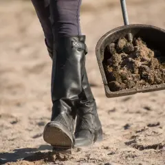 Une personne en bottes d'équitation ramasse du crottin de cheval avec une pelle, illustrant la réglementation crottin de cheval sur la voie publique.