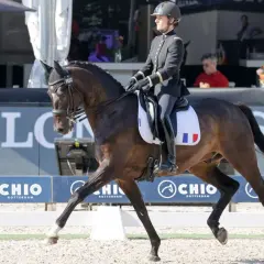 Cavalière française en tenue d'apparat, sur son cheval, lors d'une compétition. Le nombre de licenciés équitation France est en hausse.