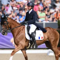 Cavalier en tenue de concours complet d'équitation, sur son cheval bai, en pleine action devant un public.