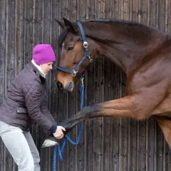 Une femme examine le sabot d'un cheval brun, peut-être pour évaluer son état et adapter son alimentation cheval fourbu.
