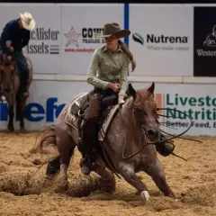 Une cavalière effectue un virage serré, soulevant de la poussière avec son cheval lors d'une compétition de cutting cheval.