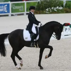Une cavalière en tenue de compétition exécute une figure de haute école, démontrant la discipline de l'équitation. Le cheval noir est en mouvement, la patte avant levée.
