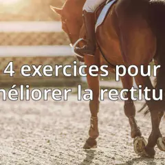 Un cavalier et son cheval travaillent sur la rectitude dans une carrière. 4 exercices pour améliorer la rectitude.