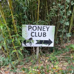 Panneau "Poney Club" avec un poney et une flèche, indiquant la direction. C'est la définition d'un centre équestre pour les plus jeunes.
