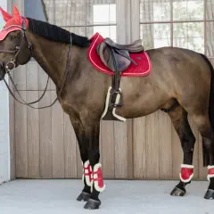 Cheval brun avec selle rouge et bonnet assorti. Ses protections de jambes, d'un rouge vif, ne sont pas toxiques et ajoutent une touche audacieuse.