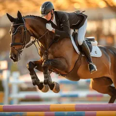 Un cavalier et son cheval bondissent par-dessus un obstacle. Est-ce que l'équitation est un sport ? Absolument, cela demande force, agilité et confiance.