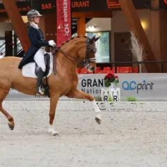 Une cavalière en tenue d'apparat mène un cheval alezan dans une arène. L'allure du cheval est majestueuse, ses pattes avant levées avec grâce.