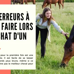 Jeune fille caressant un cheval dans un pré. Le texte parle des erreurs à éviter lors de l'achat d'un cheval, abordant la réglementation cheval sur terrain privé.
