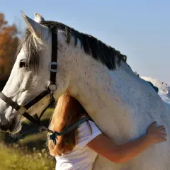 Une jeune fille aux cheveux roux enlace tendrement un grand cheval blanc. Quel galop pour avoir un cheval aussi doux !