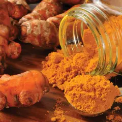 Racines de curcuma et poudre dorée. Une cuillère déborde de curcuma, prêt à être ajouté à la nourriture des chevaux pour leurs bienfaits.