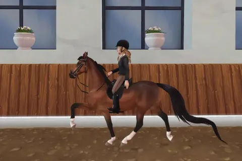 Une cavalière monte un magnifique American Saddlebred dans une carrière.