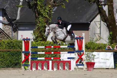 Un cheval gris et son cavalier en plein effort, capturant le **mécanisme du saut** au-dessus d'une barrière aux couleurs vives.
