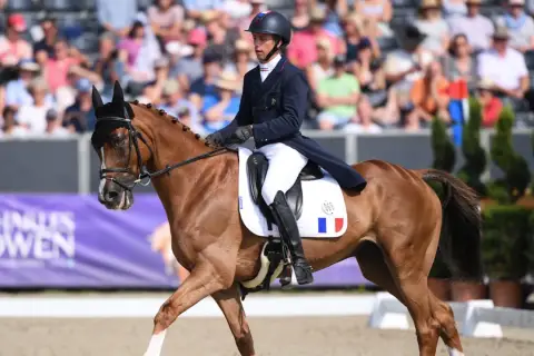 Cavalier en tenue de concours complet d'équitation, sur son cheval bai, en pleine action devant un public.