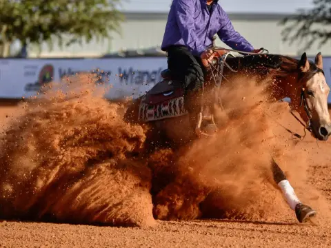 Reining à cheval - Comprendre la discipline et progresser
