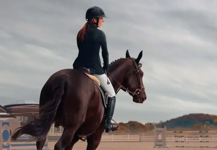 Cavalière en tenue d'équitation, casque noir, effectuant un exercice de dressage galop 7 sur un cheval brun. Arrière-plan : manège, bâtiments et ciel nuageux.