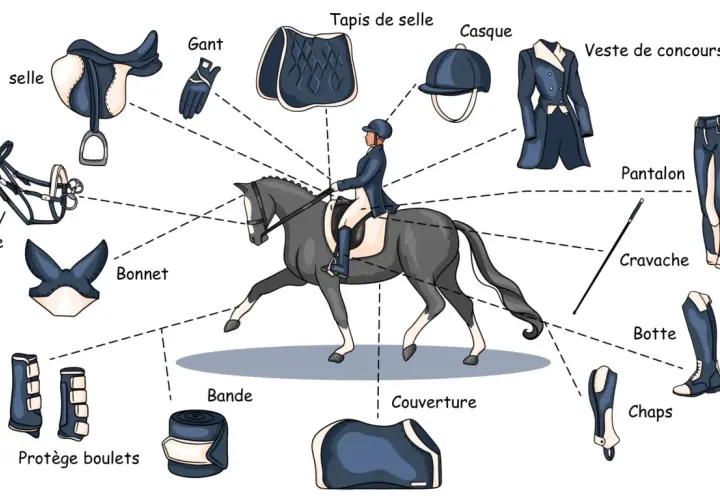 Illustration d'une personne prête à faire de l'équitation, avec tous les équipements nécessaires : selle, filet, bonnet, gant, tapis, casque, veste, pantalon, cravache, botte, chaps, protège boulets et bande.