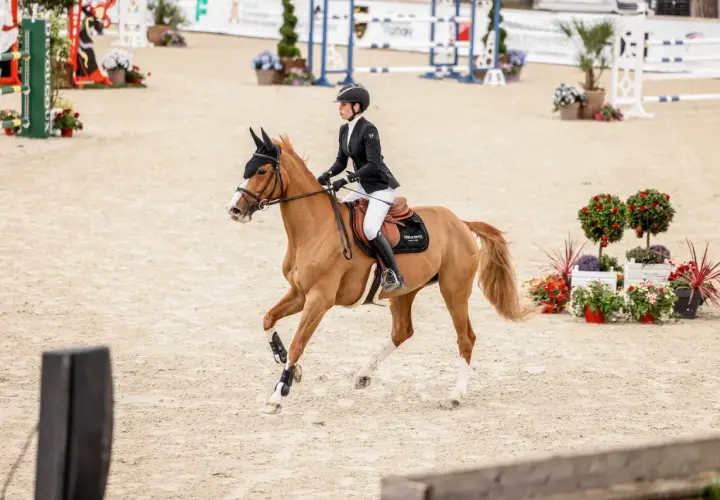 Une cavalière en tenue d'équitation exécute un volte cheval sur une piste de sable, entourée de décorations florales.