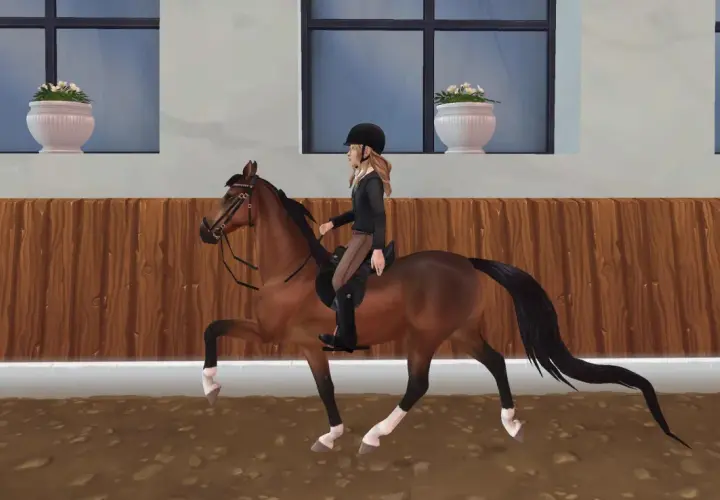 Une cavalière monte un magnifique American Saddlebred dans une carrière.