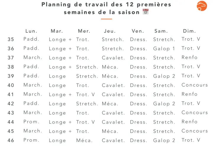 Planning de travail cheval pour 12 semaines, incluant paddock, longe, trot, étirements, travail à la cavalerie, mécanique, dressage et galop.
