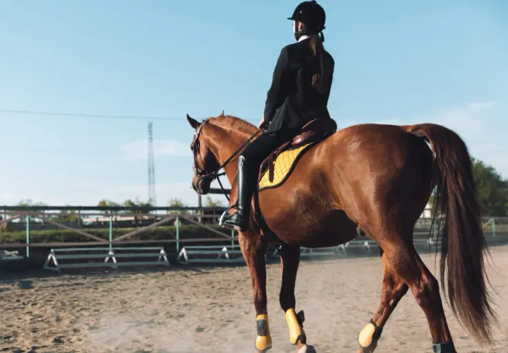 Cavalière en tenue d'équitation, le cheval au trot, une épaule en avant, sur un manège sablonneux.