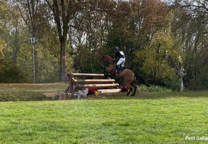 Cavalier et cheval franchissant un obstacle de cross galop 5, dans un décor automnal.