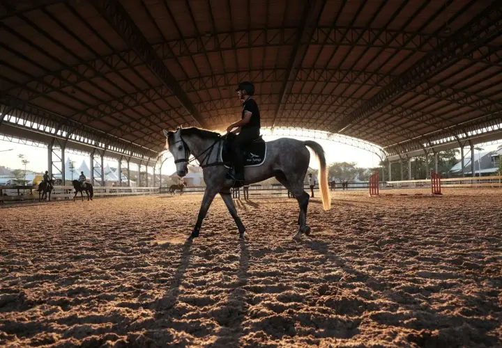 Cavalier sur un cheval gris dans une carrière couverte. Le soleil couchant crée de longues ombres. Idéal pour un cour d'équitation pour débutant, prix abordable.