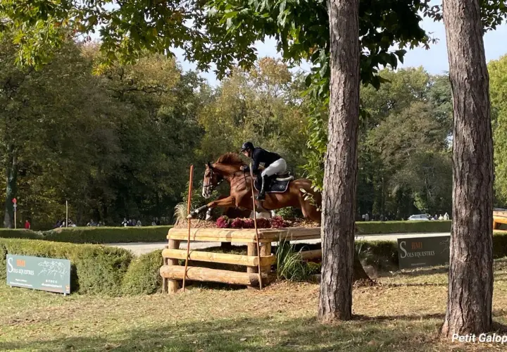 Un cavalier et son cheval brun franchissent un obstacle en bois lors d'un cross équestre.