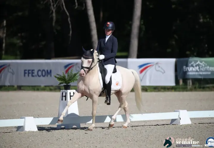 Une cavalière en tenue de concours exécute une figure de dressage, respectant le règlement du club. Le cheval blanc est élégant.