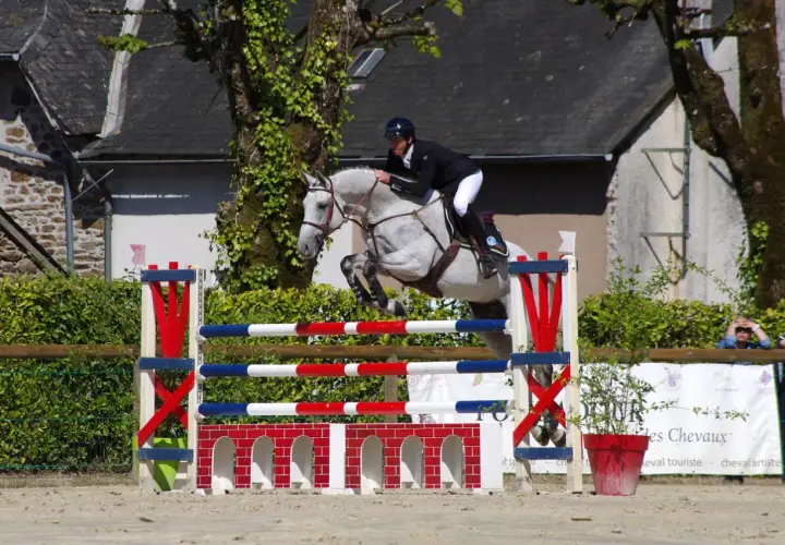 Un cheval gris et son cavalier en plein effort, capturant le **mécanisme du saut** au-dessus d'une barrière aux couleurs vives.