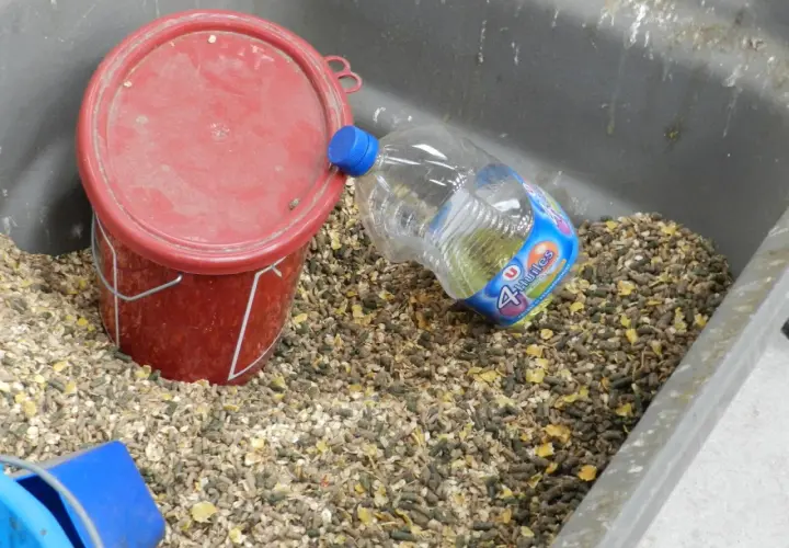 Un seau rouge et une bouteille d'huile 4 huiles, posés dans une mangeoire remplie de granulés pour chevaux.
