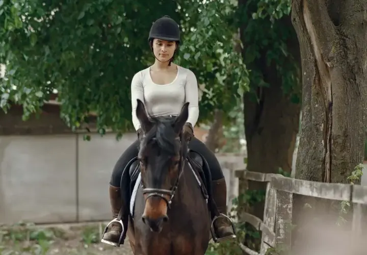 Une jeune femme en tenue d'équitation, casque noir, est assise sur un cheval brun. Elle semble prête à monter à cheval.