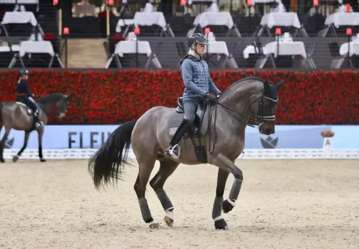 Un cavalier et son cheval gris évoluent sur le sable, le cheval semble vouloir monter en bride, prêt pour la compétition.