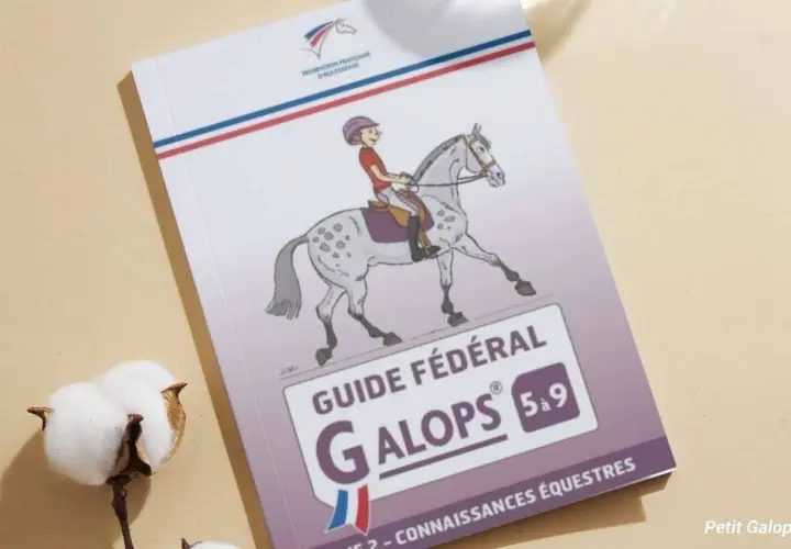 Guide fédéral Galops 5 à 9, un quizz pour les jeunes cavaliers.