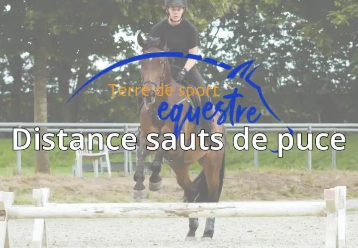 Cavalier et cheval en plein saut, le texte "Distance sauts de puce" est superposé.